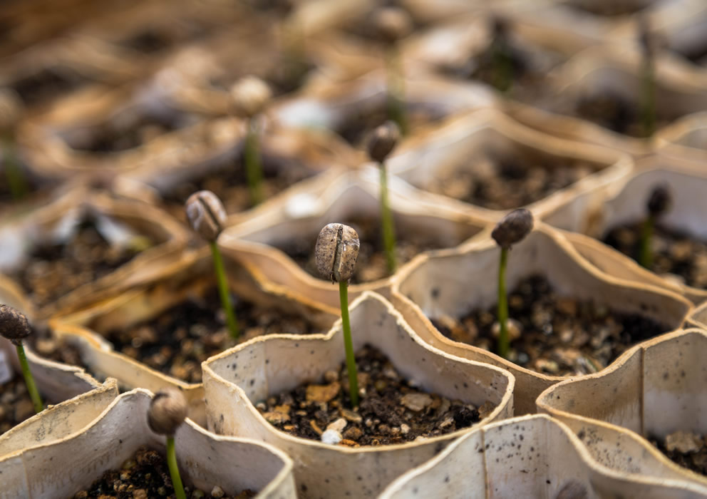 Les Plus Beaux Casinos Du Belgique