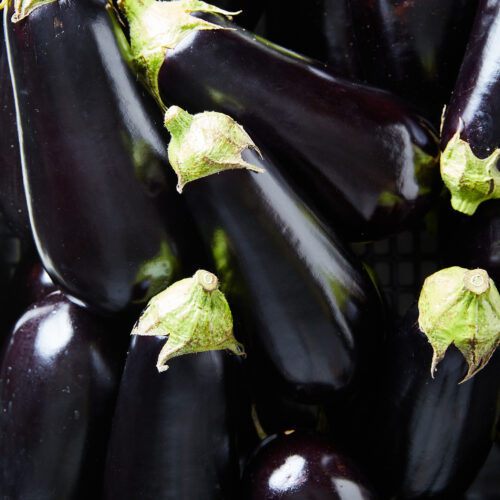 Eggplant