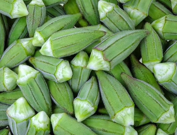 Okra