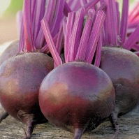 Beetroot